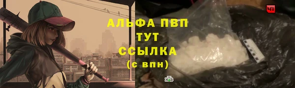 экстази Богданович