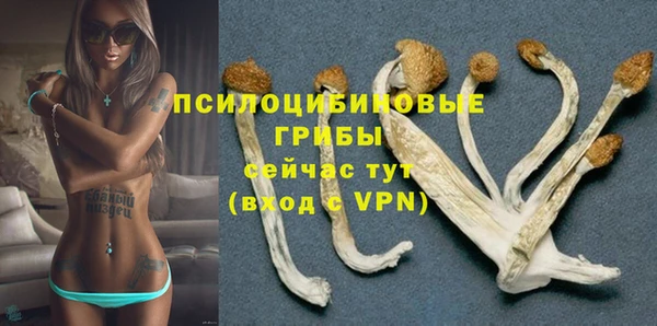 мескалин Богородицк