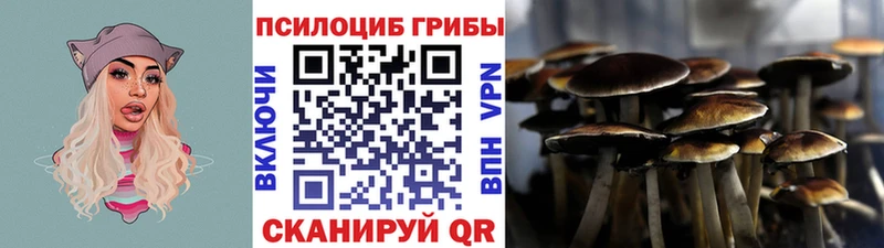 Галлюциногенные грибы MAGIC MUSHROOMS Кушва